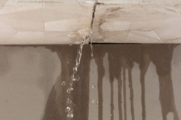Professional Structural Drying technician working in Gilsum, NH